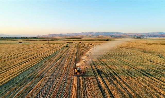 4. Tarım Orman Şurası kararları yarın açıklanacak