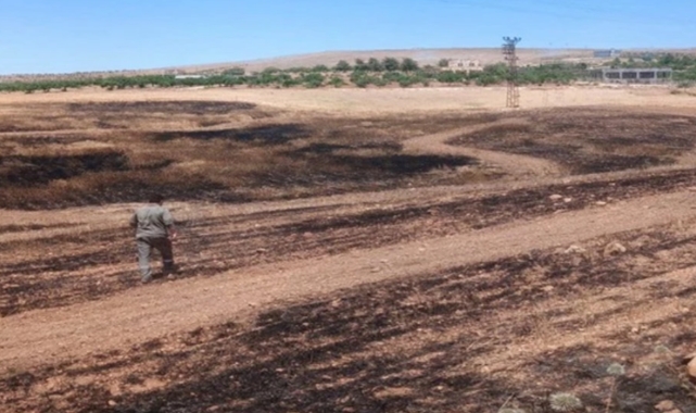Şanlıurfa'da 40 dönümlük arpa tarlası kül oldu