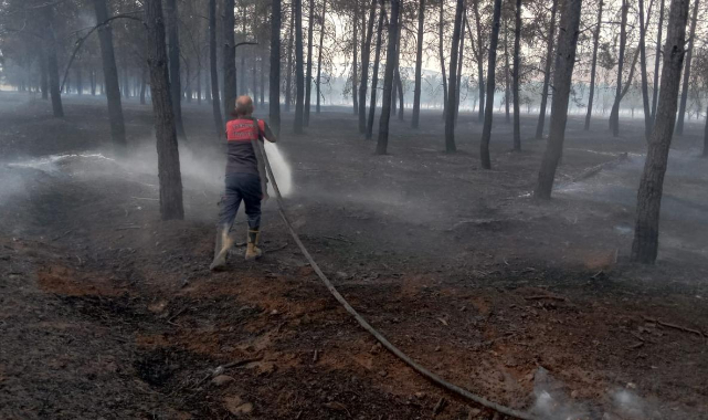 Bozova'da orman yangını
