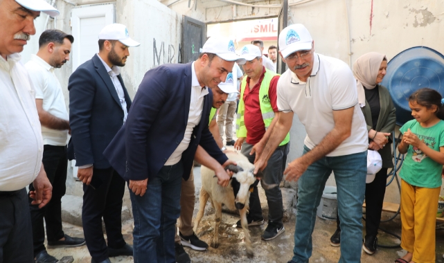 Eyyübiye'de yüzlerce yetim ailesine canlı kurbanlık dağıtıldı