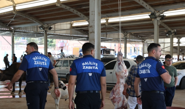 Haliliye Belediyesi 662 personeliyle sahada