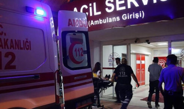 Şanlıurfa'da kontrolden çıkan otomobildeki 2 kişi yaralandı
