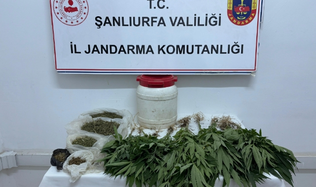 Şanlıurfa'da uyuşturucu operasyonunda 1 şüpheli yakalandı
