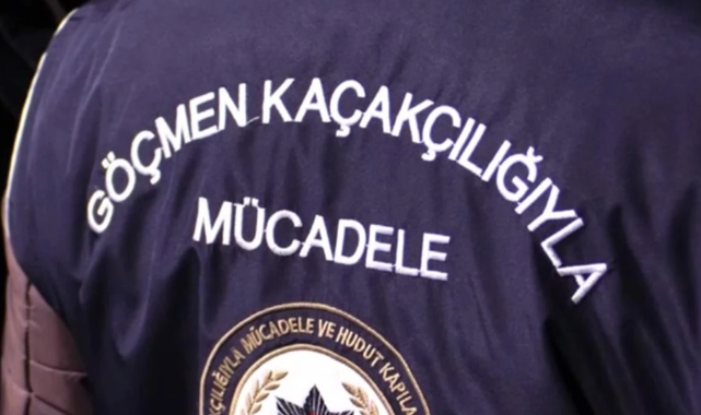 Şanlıurfa dahil 51 ilde göçmen kaçakçılığı operasyonu: 273 gözaltı
