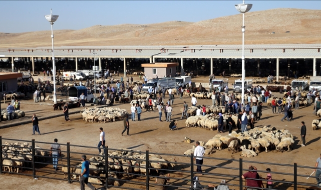 Şanlıurfa'daki hayvan pazarları kapatıldı