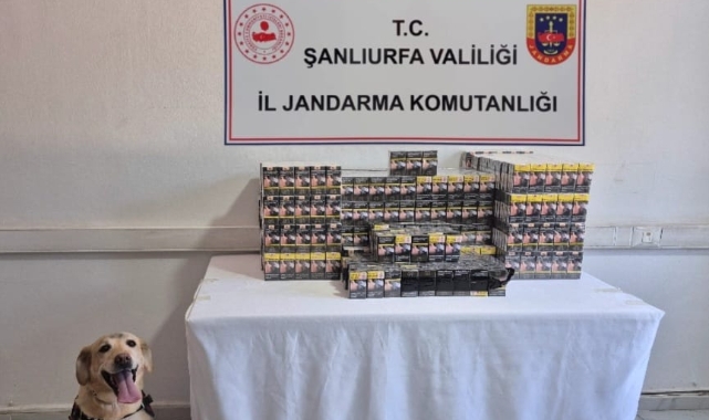 Şanlıurfa'da gümrük kaçağı 2 bin 690 sigara ele geçirildi