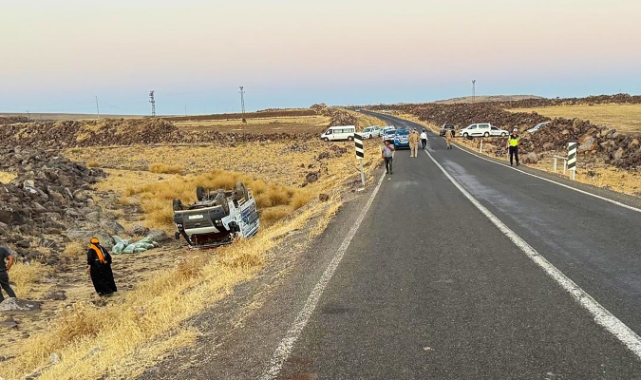 Şanlıurfa'da şarampole devrilen pikaptaki 2 kişi yaralandı