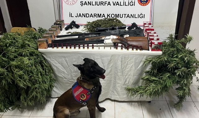 Şanlıurfa'da uyuşturucu ve silah kaçakçılığı operasyonu: 3 şüpheli yakalandı
