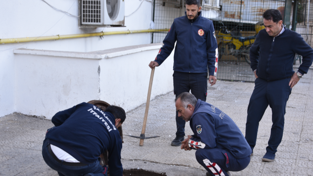 Şanlıurfa'da tahliye borusuna sıkışan yavru kedi kurtarıldı