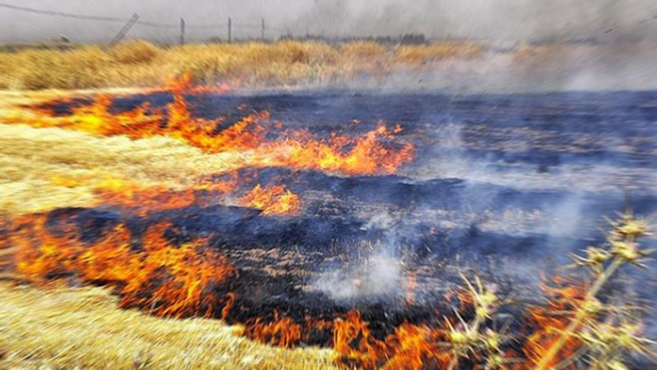 Şanlıurfa'da anız yangını can aldı