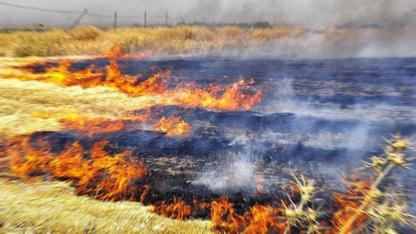 Şanlıurfa'da anız yangını can aldı