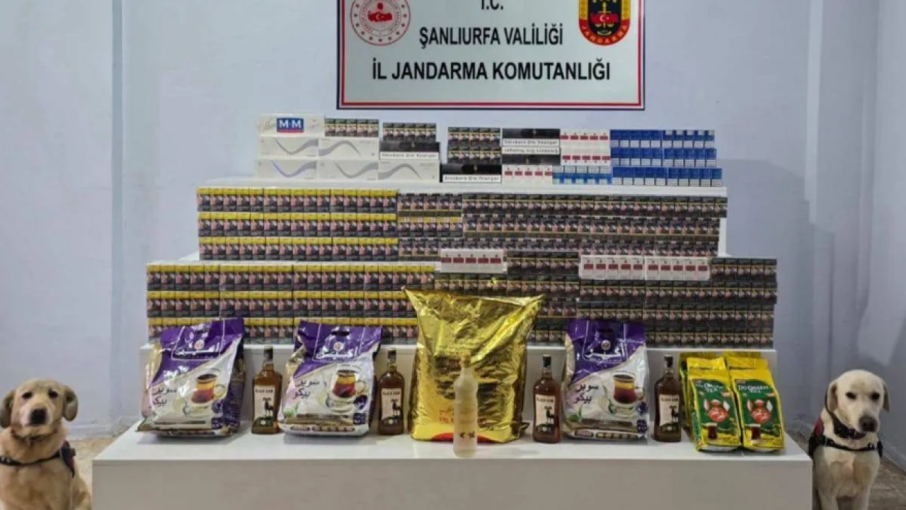 Viranşehir’de 35 şüpheli şahıs hakkında işlem başlatıldı