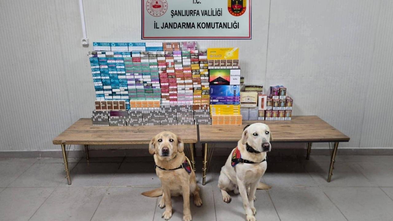 Şanlıurfa’da kaçak tütün ve alkol operasyonu: 27 şüpheliye işlem