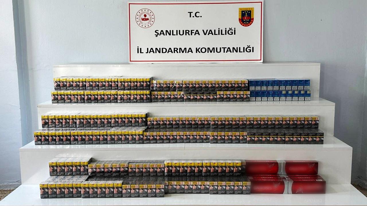 Şanlıurfa'nın ilçesine kaçak sigara operasyonu
