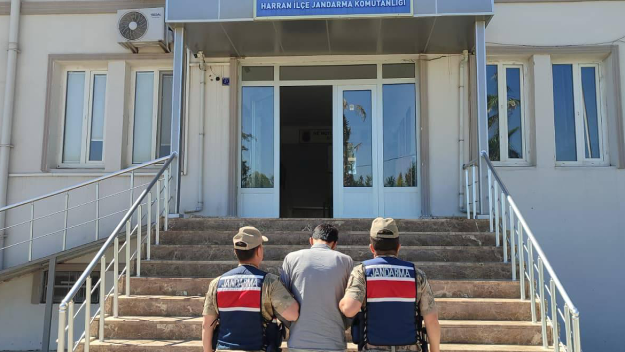 11 aydır aranan dolandırıcılık hükümlüsü Harran'da yakalandı