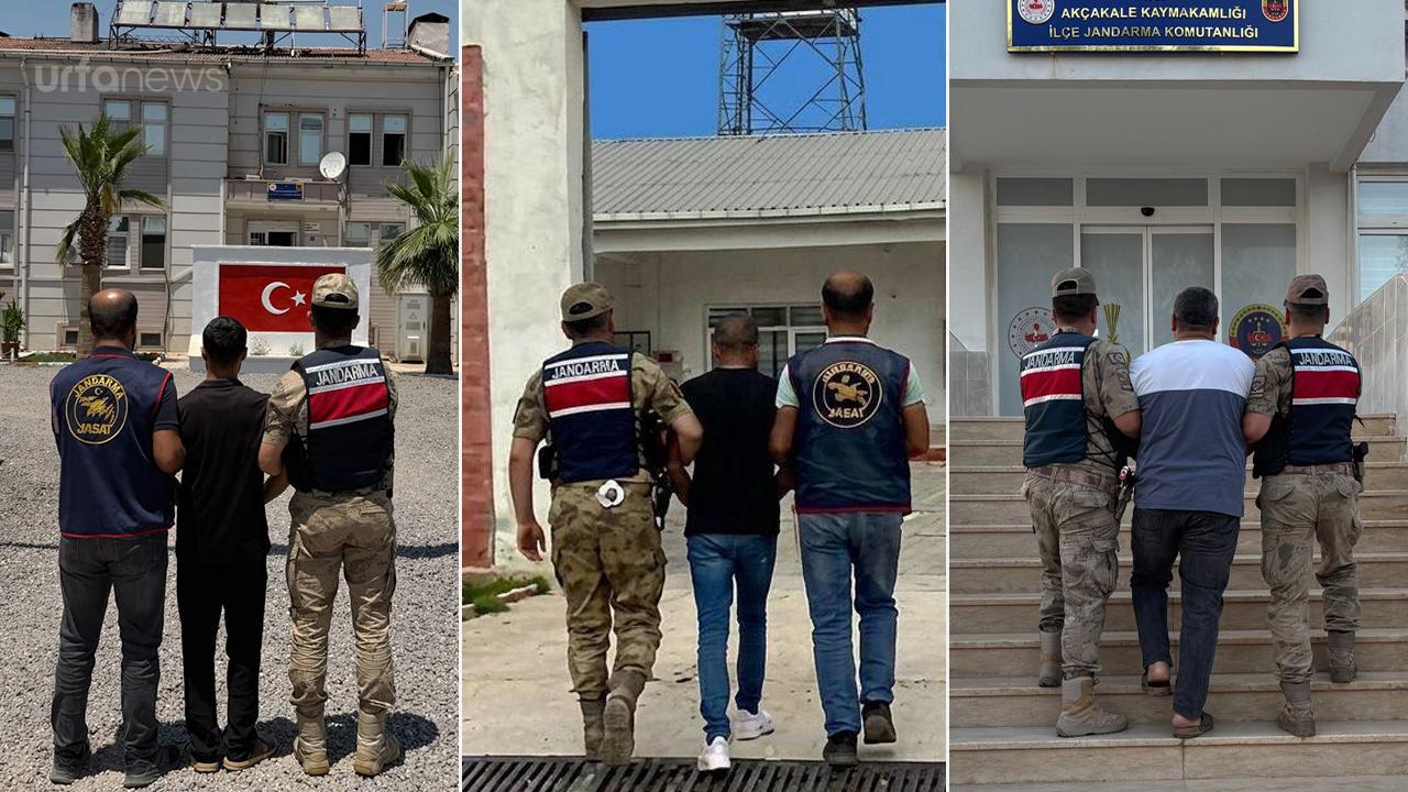 Aranan firari hükümlüler Akçakale'de yakalandı