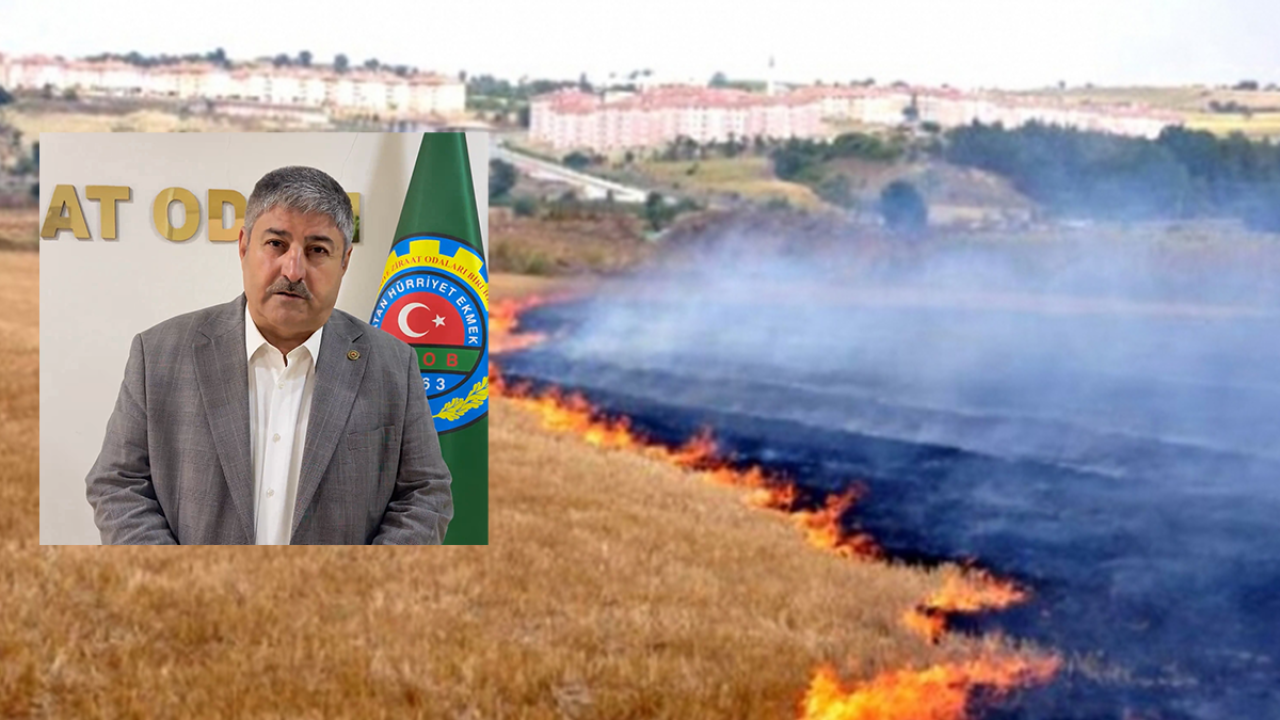 Şanlıurfa Ziraat Odası Başkanı Eyyüpoğlu’ndan çiftçilere anız uyarısı