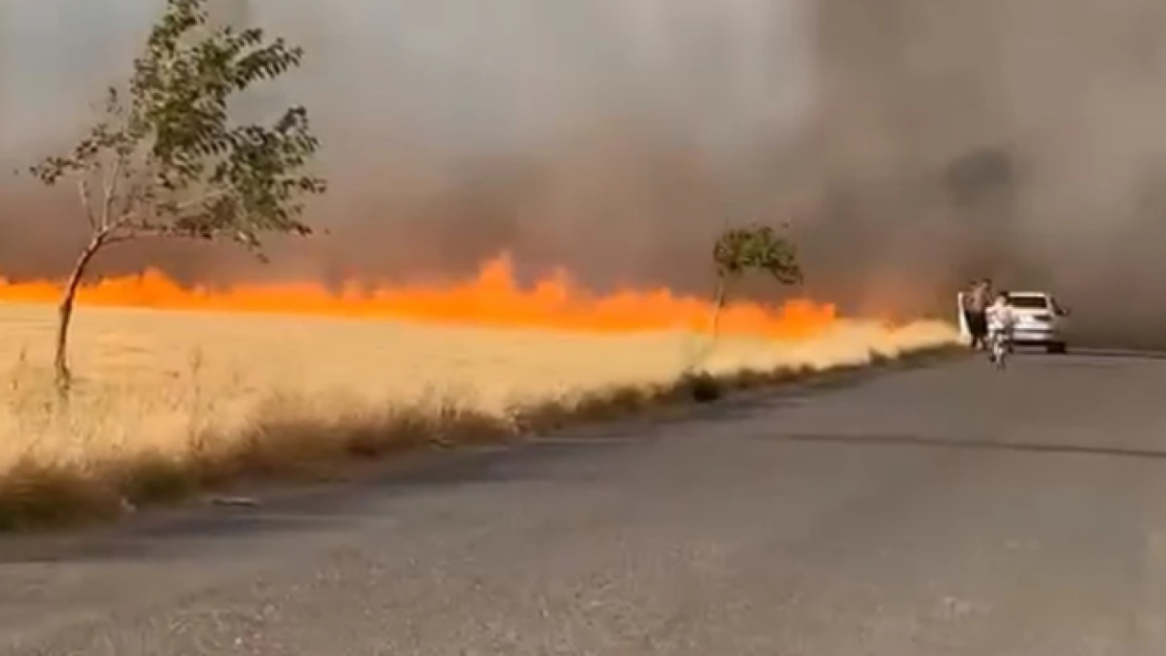 Şanlıurfa’da ayların emeği küle döndü