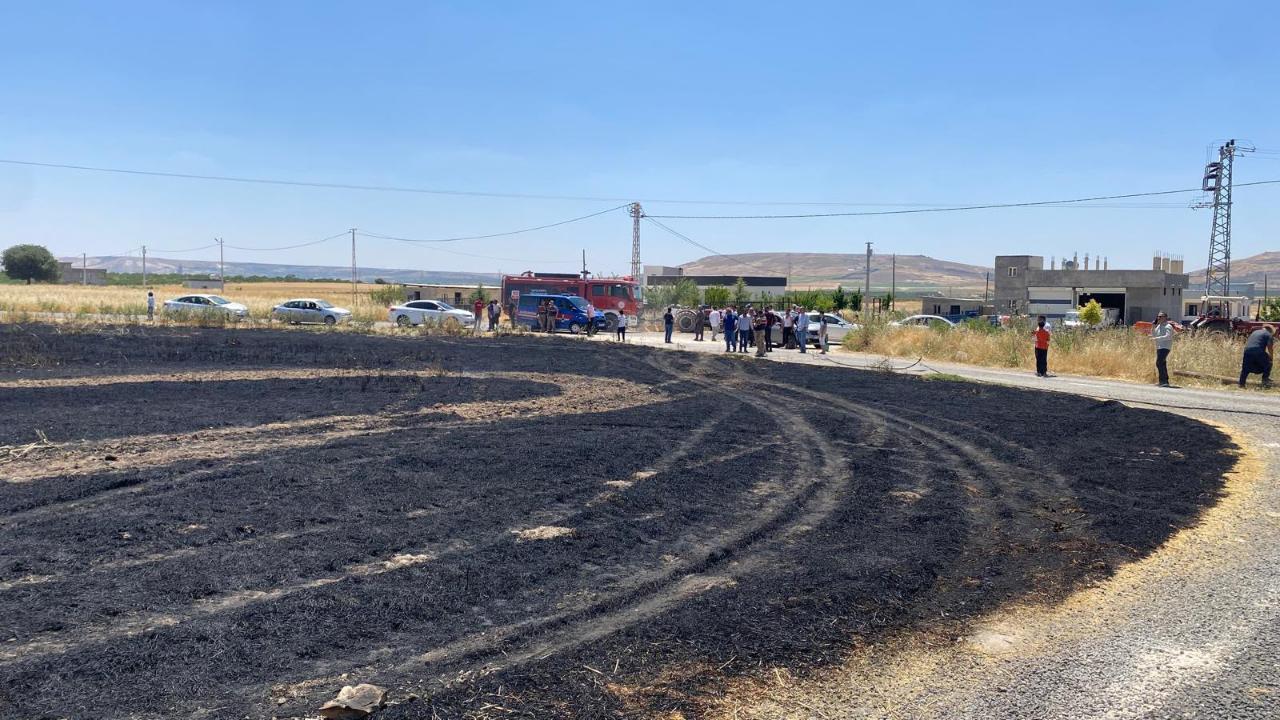Şanlıurfa’da hasat öncesi büyük kayıp: 300 dönüm arpa yandı
