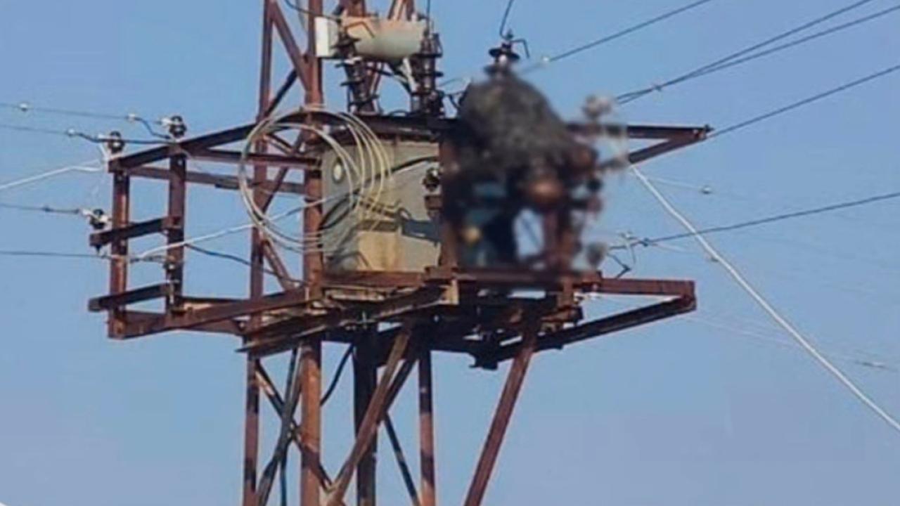 Viranşehir'de elektrik akımına kapılan çiftçi hayatını kaybetti