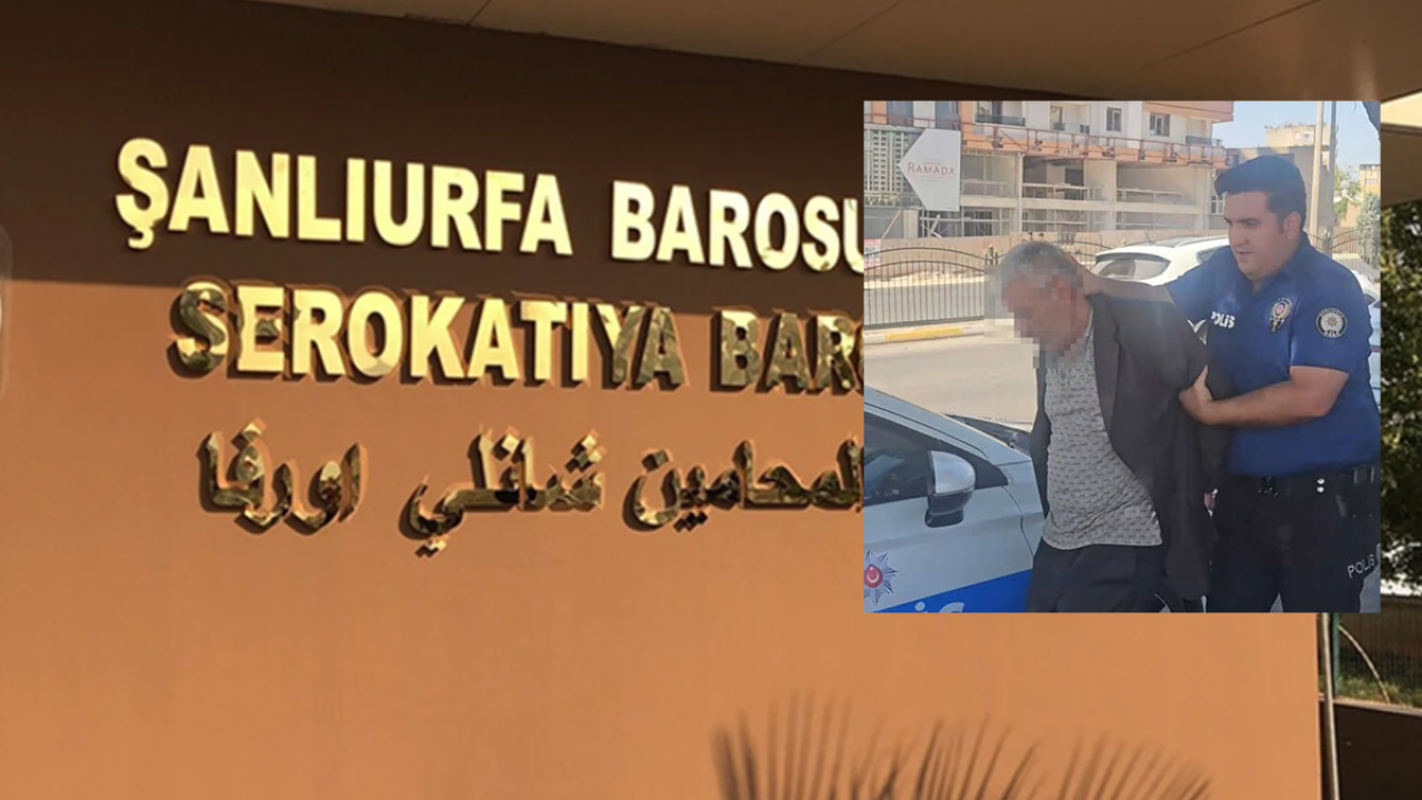 Şanlıurfa Barosu'ndan Emine Dişçi açıklaması: Bir kadın daha korunamadı