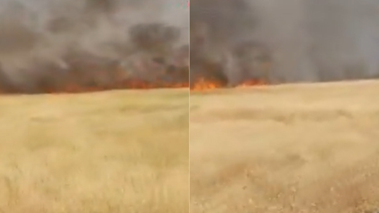 Şanlıurfa’da buğday ekili arazi kül oldu