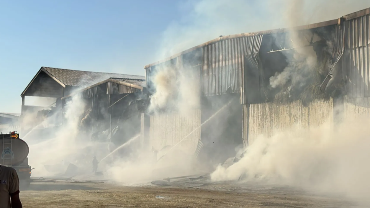 Şanlıurfa'da hayvan çiftliğinde yangın