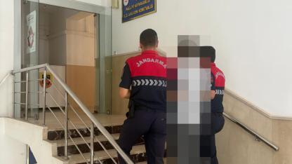 Şanlıurfa'da hırsızlık hükümlüsü jandarmadan kaçamadı