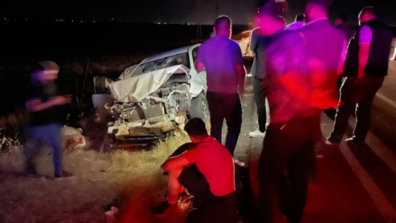 Siverek'te otomobil koyun sürüsüne daldı: 3 yaralı, 11 hayvan telef oldu