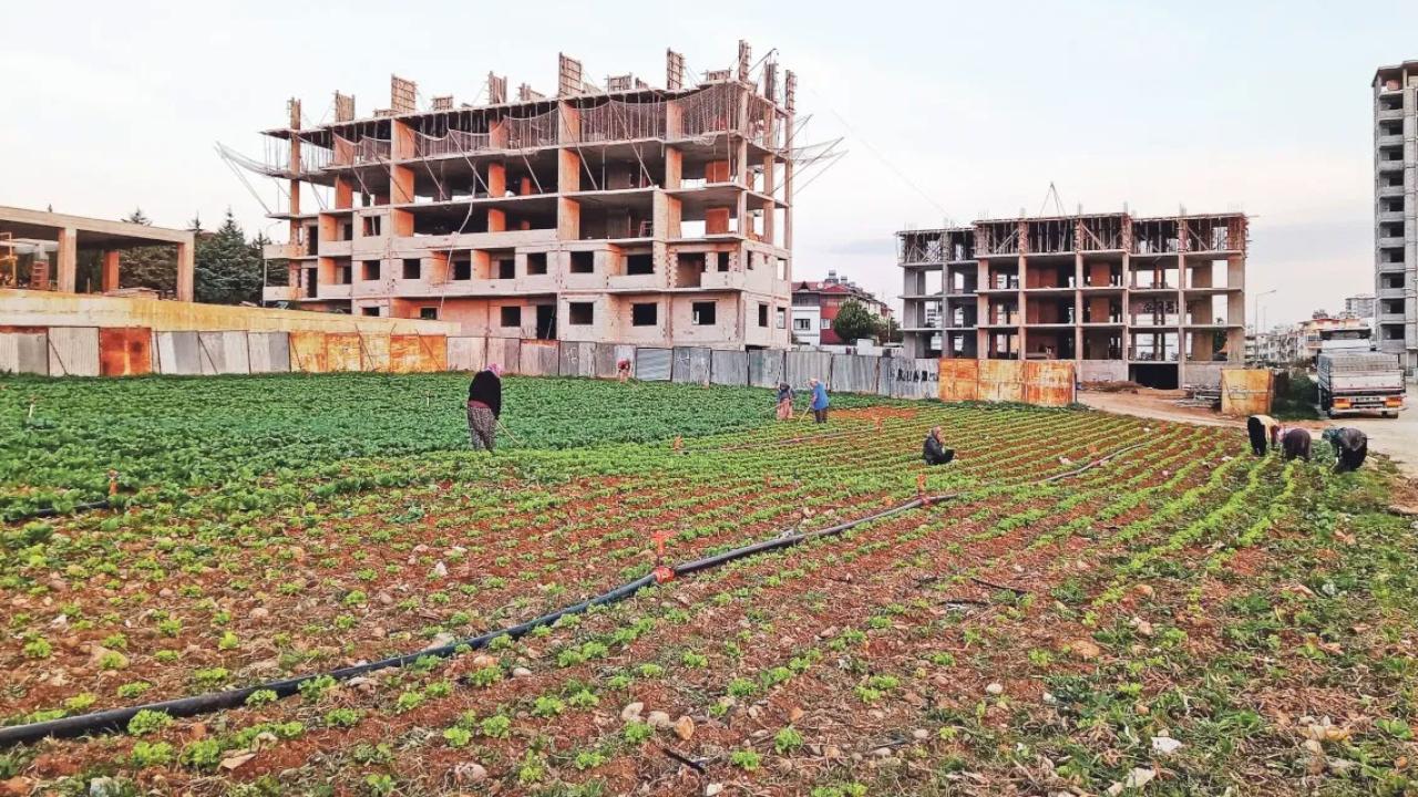 Tarım arazilerini koruyan yeni düzenlemeler yürürlükte