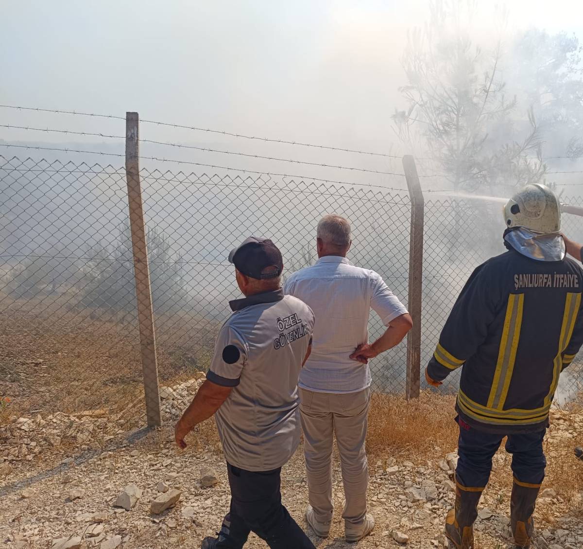 Bozova’da ağaçlık alanda yangın